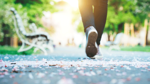 Close-up of person's feet walking through park, sunny day, petals on ground.