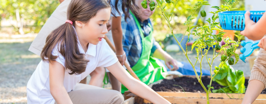 Young girl gardening